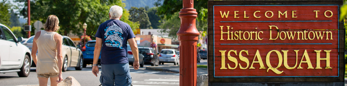 Issaquah Washington Specialty Pump & Well